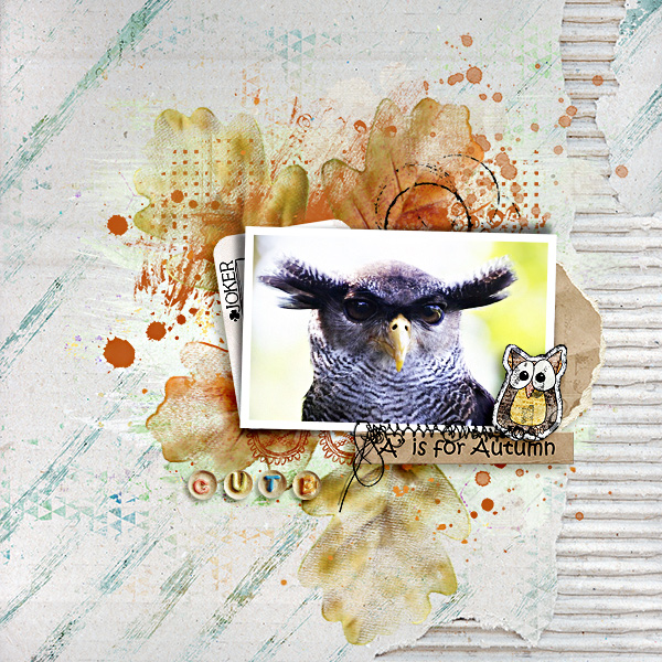 Owl