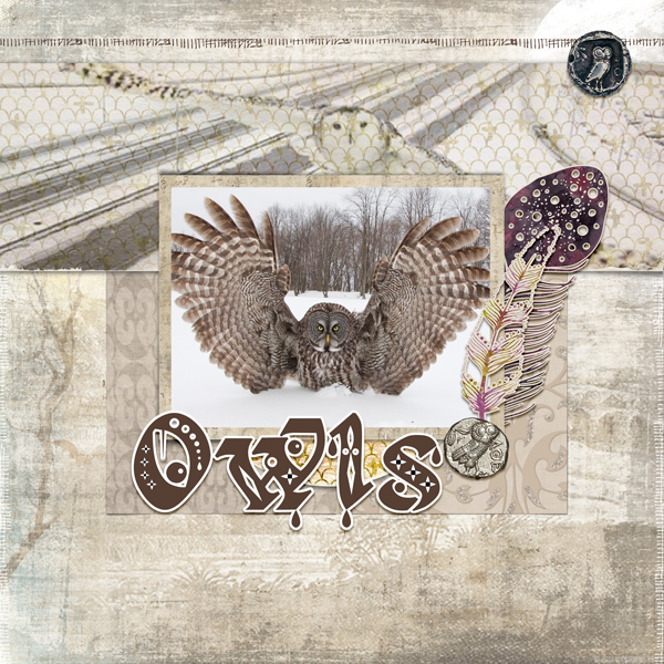 Owls