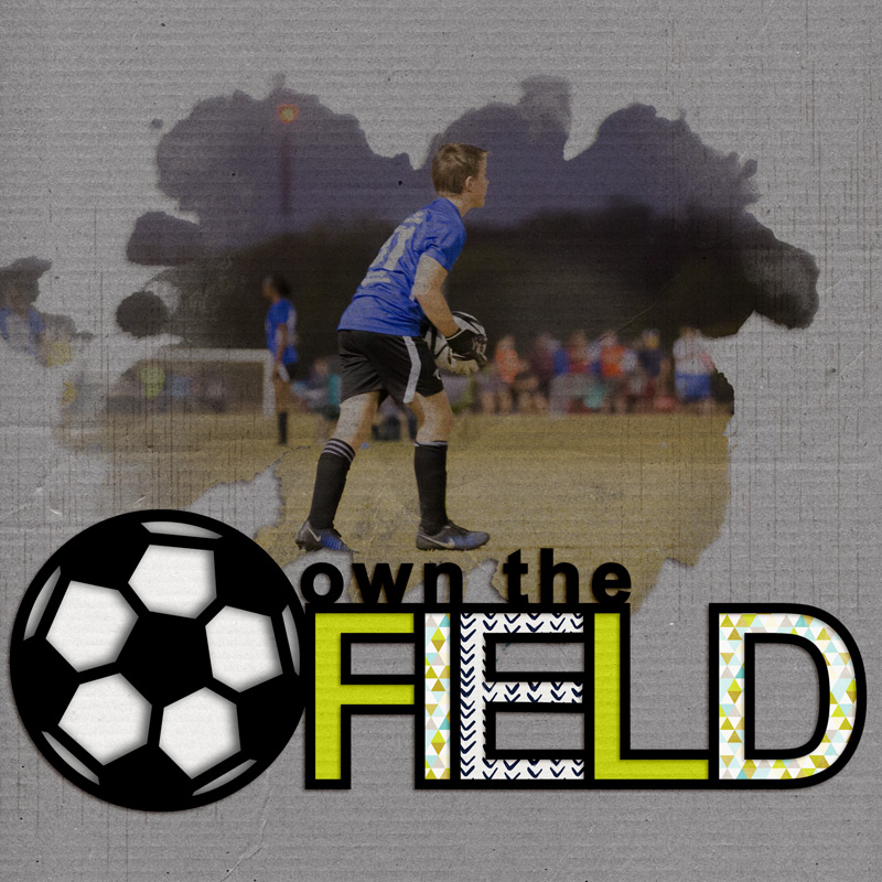 Own the Field