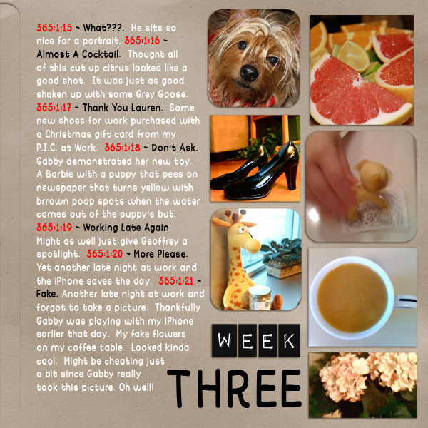 P365 - Week Three