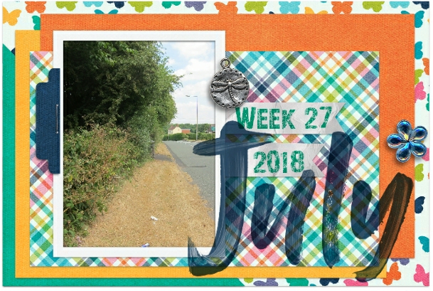 P52 - July Pocket Card