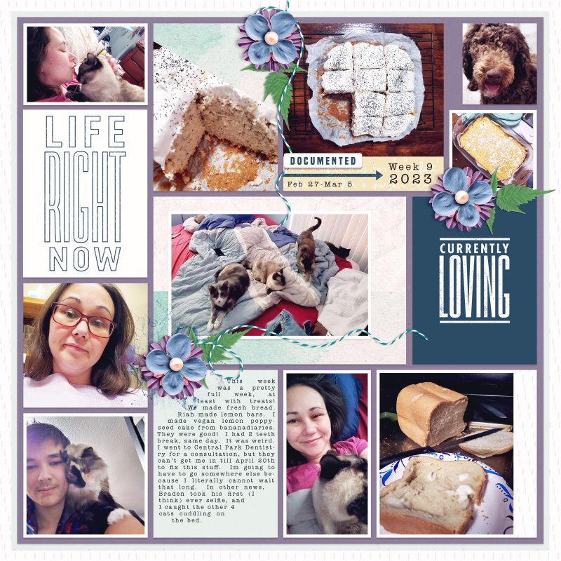 P52.week.9.feb28.march5