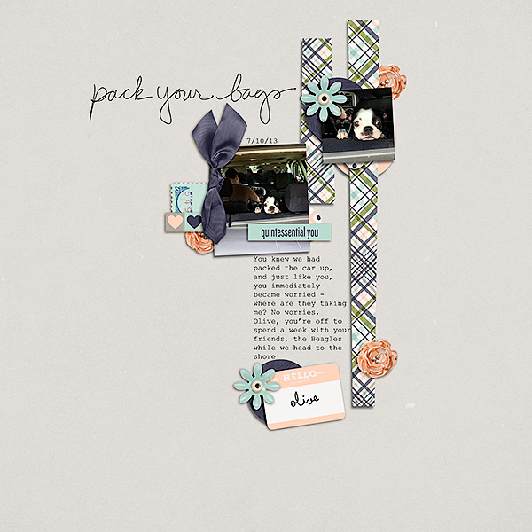 Pack Your Bags