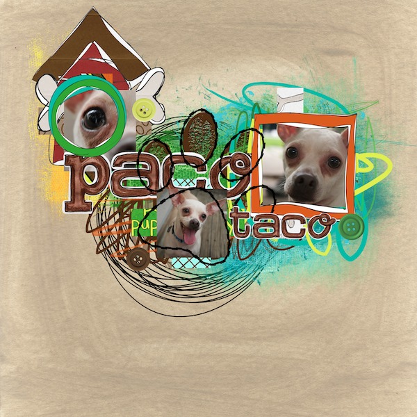 Paco Taco