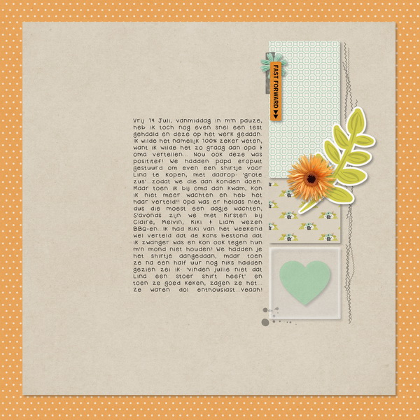 page II for pregnancy album