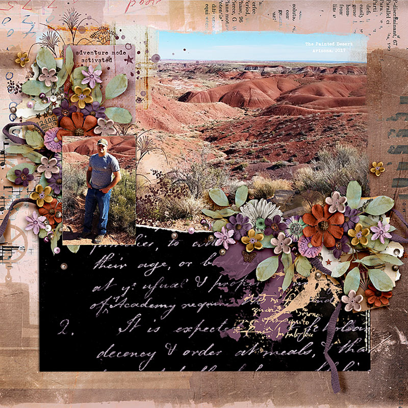Painted Desert