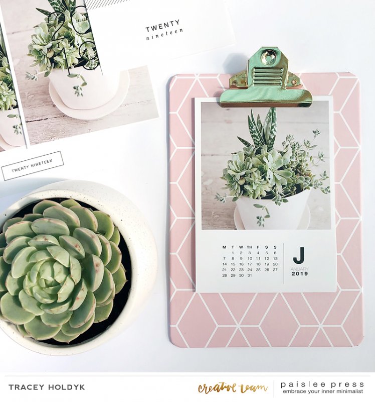 Paislee-2019deskcalender-succulentsbytraceyholdyk1