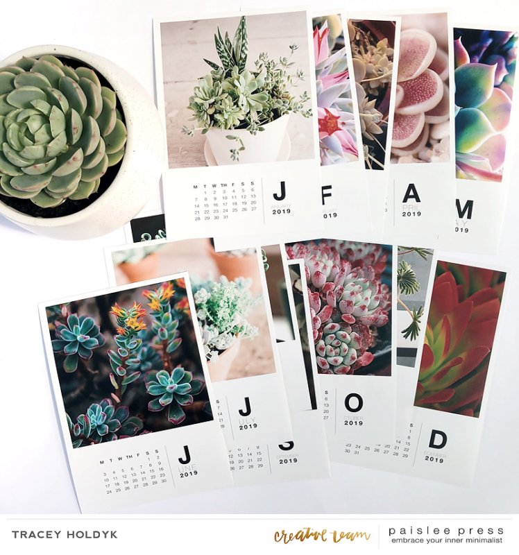 Paislee-2019deskcalender-succulentsbytraceyholdyk3