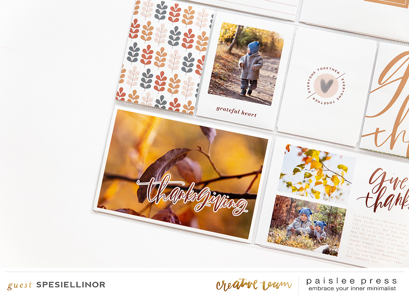 Paislee-AroundTheTable-projectbyspesiellinor03