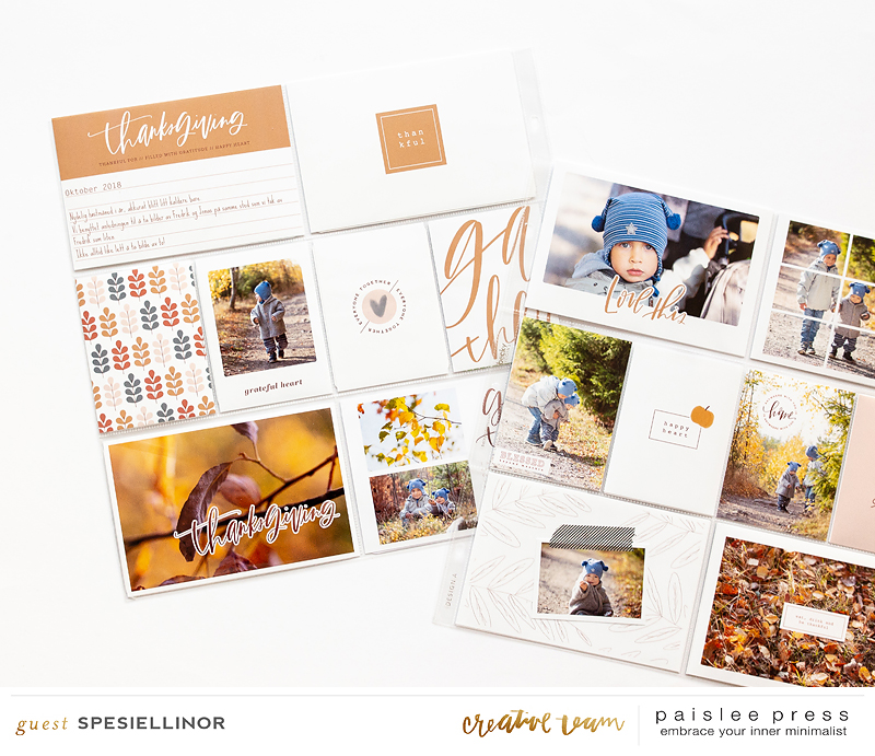 Paislee-AroundTheTable-projectbyspesiellinor05