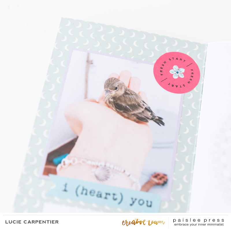 Paislee-AUGUST_Monthly_projectbyluciecarpentier02