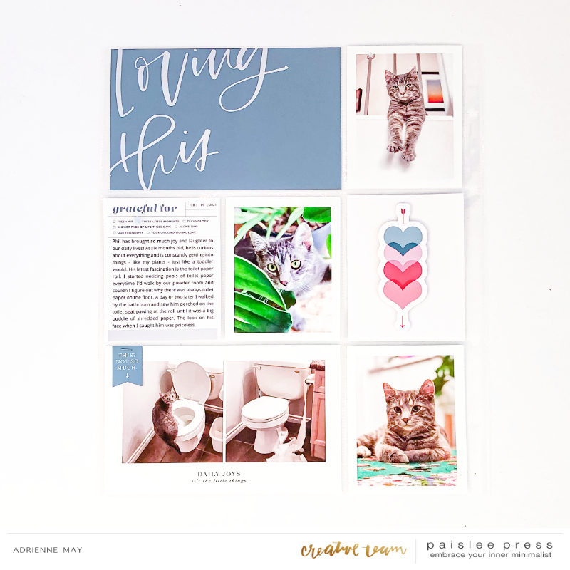 Paislee-DailyJoys-projectbyADRIENNE-1