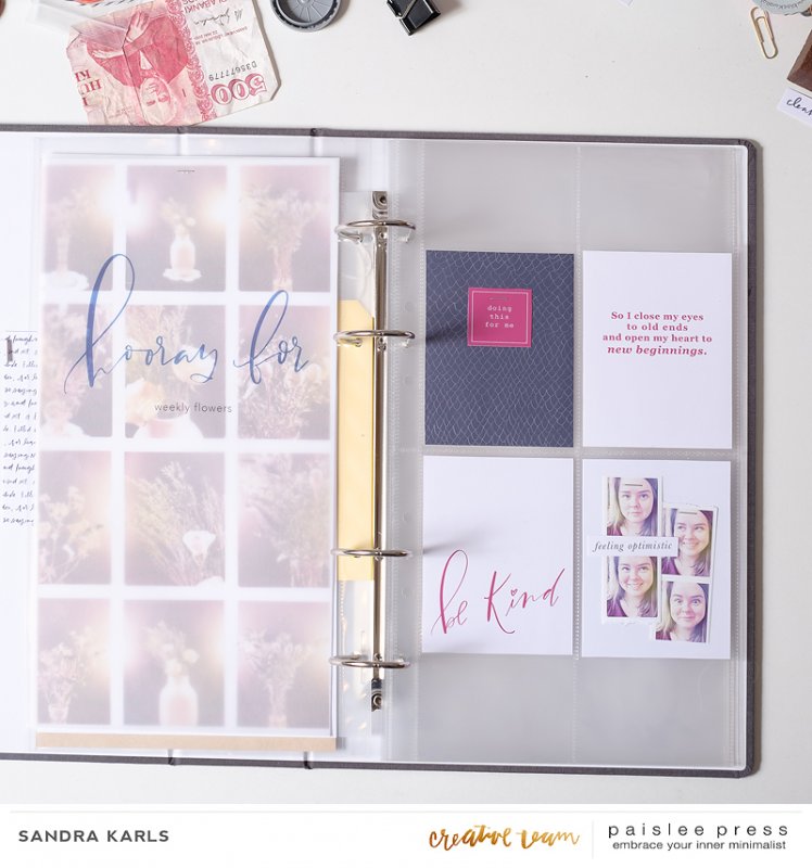 Paislee-HEREWEGO-projectbySandraKarls-7 Copy