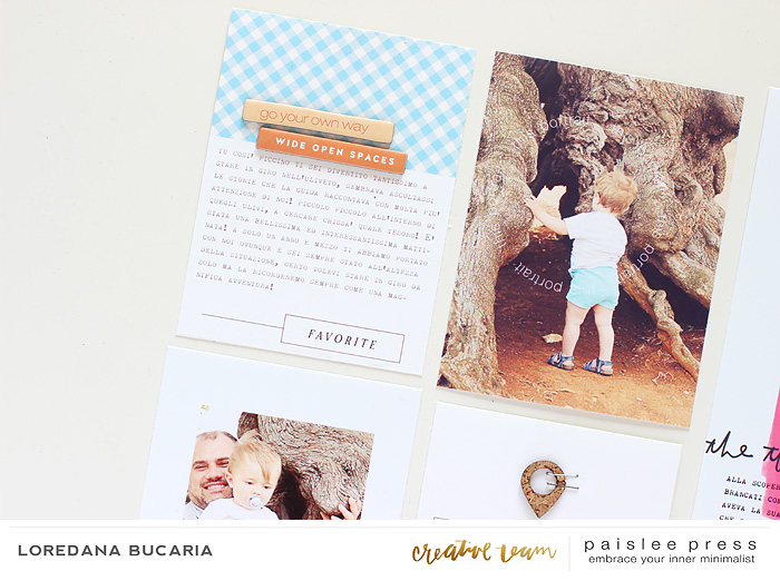 Paislee-Julyproject-det2-projectbyLoredanaBucaria