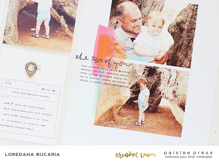 Paislee-Julyproject-det3-projectbyLoredanaBucaria