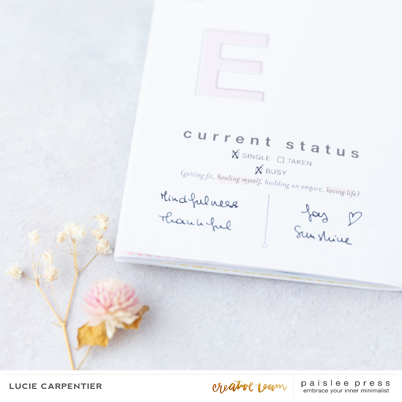 Paislee-Monthly_project-June_projectbyluciecarpentier_02