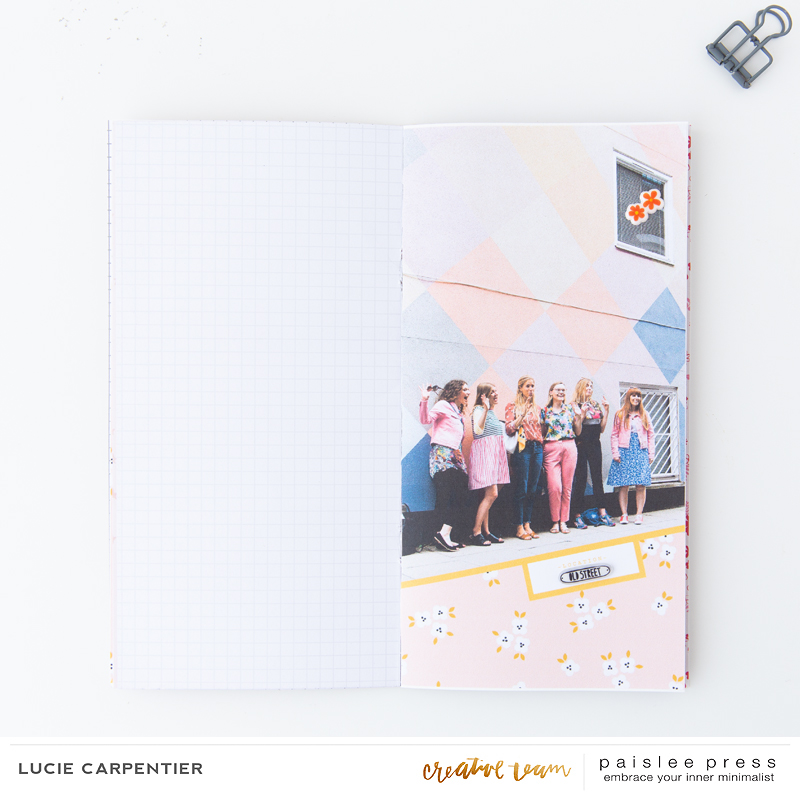 Paislee-Monthly_Project-projectbyluciecarpentier_02