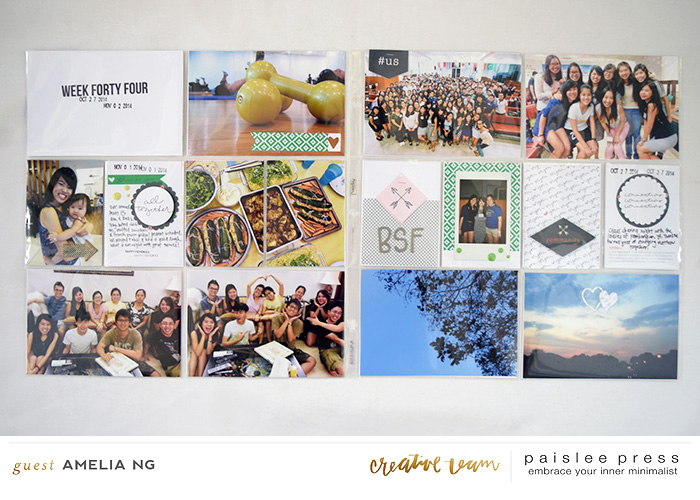 Paislee-mytribe-projectbyAmeliaNg