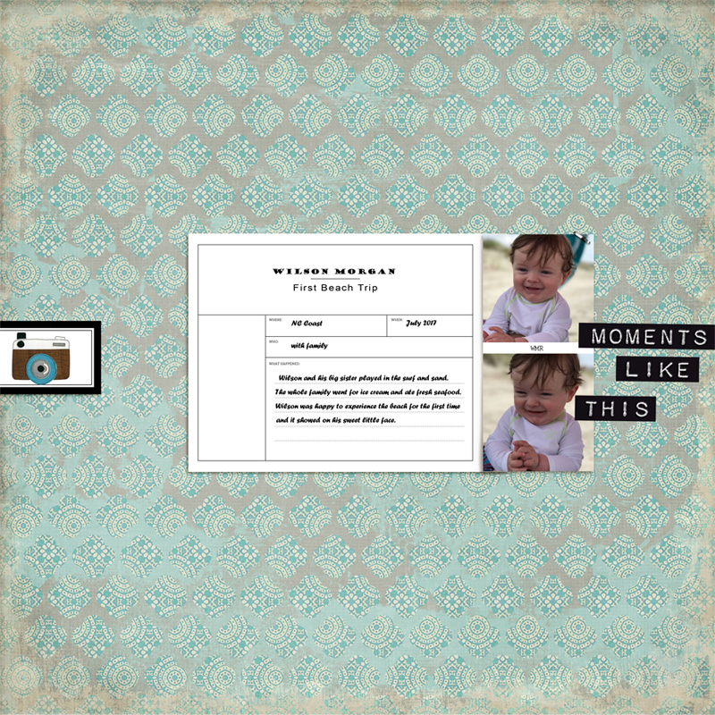 Paislee-pressplateNo42-12x12template2