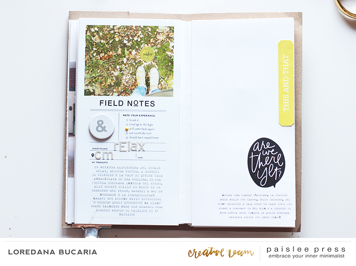 Paislee-september-projectbyLoredanaBucaria_3