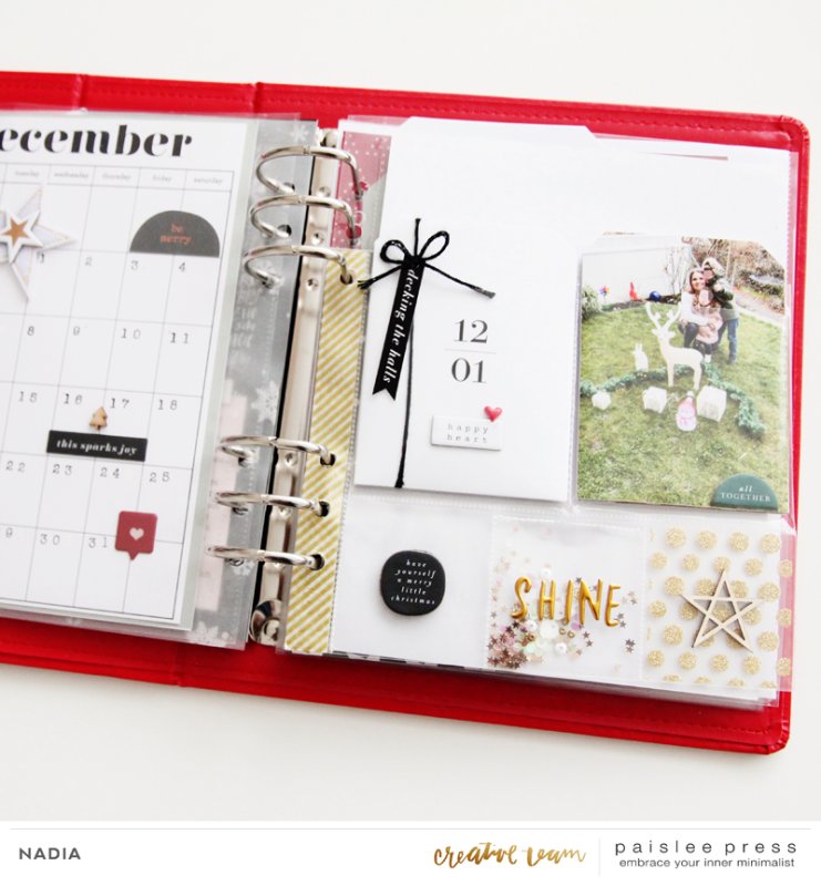 Paislee-This Day In December No. 3-projectbyNADIA