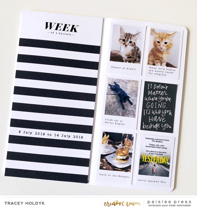 Paislee-thisweek-weekbytraceyholdyk1