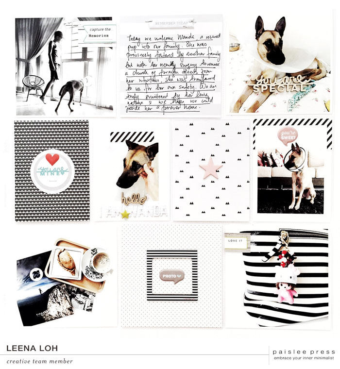 Paisleepress-allthestripes-projectbyleenaloh