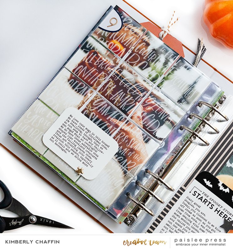 Paisleepress-FALL-projectbyKimChaffin01