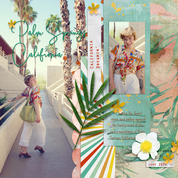 Palm-Springs CA