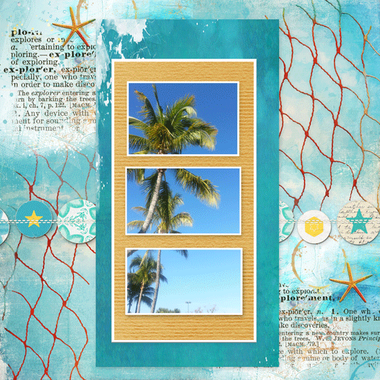 Palm Tree in Thirds