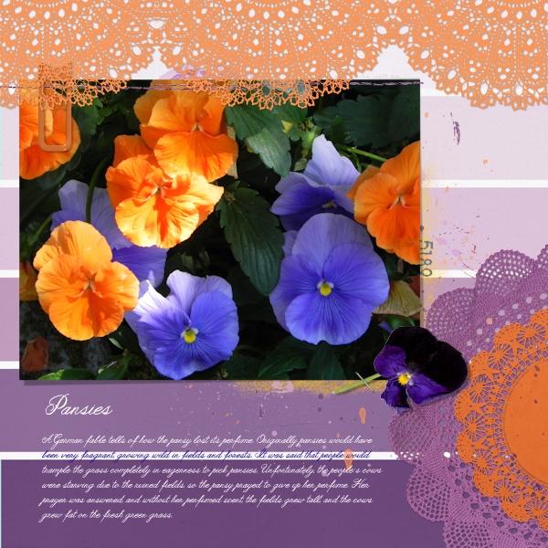Pansies