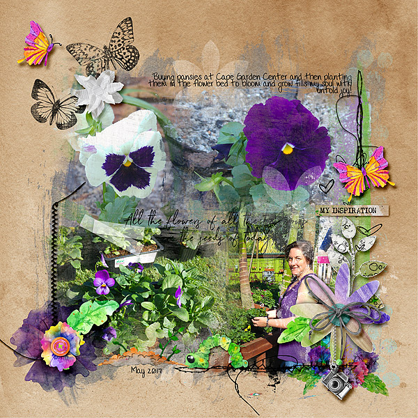 Pansies