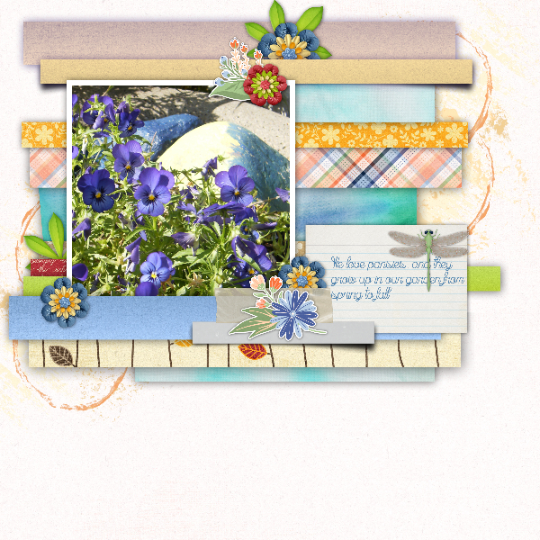 Pansies