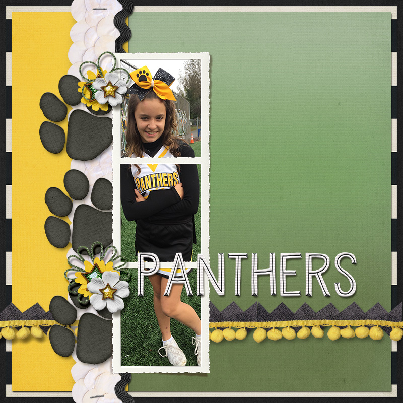 Panthers