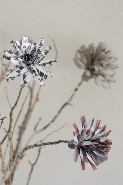 Paper Flowers