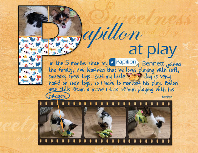 Papillon-at-Play
