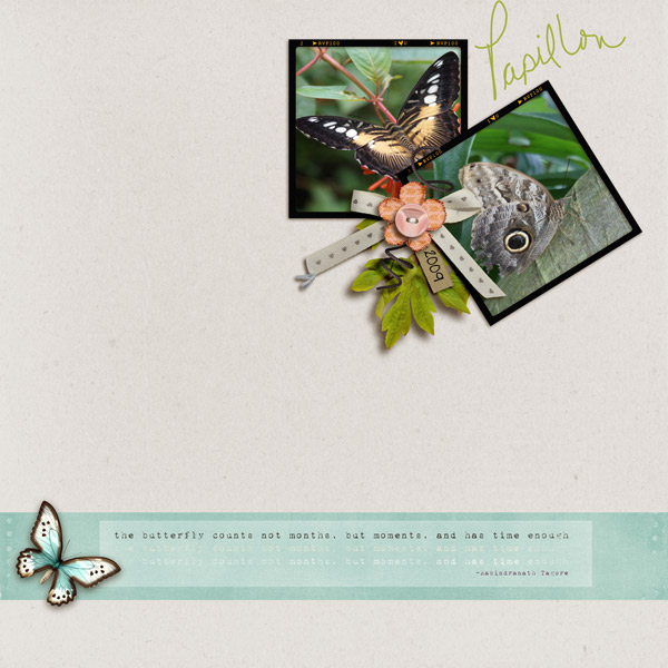 papillon