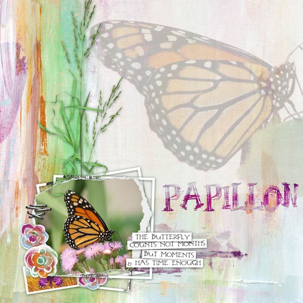 Papillon