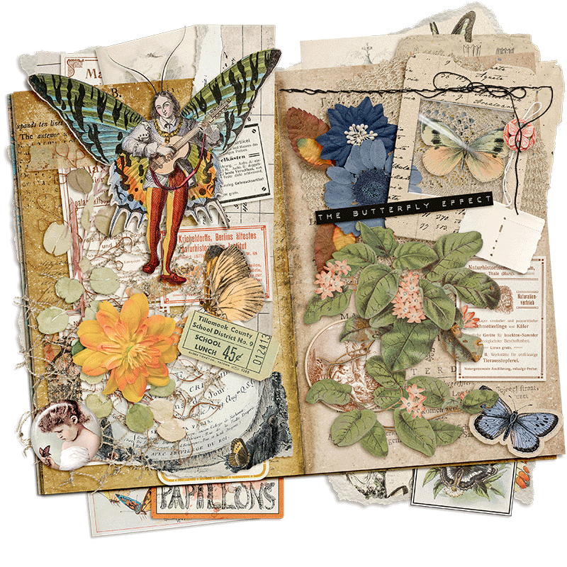 Papillons
