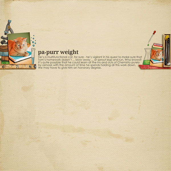 Papurr Weight