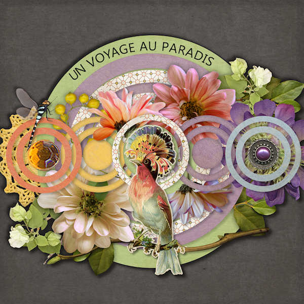 Paradis