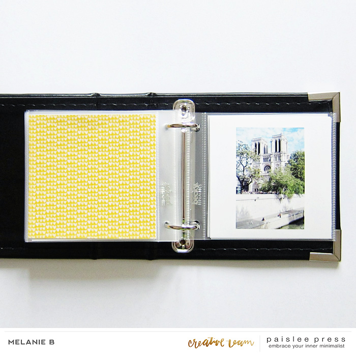 Paris mini-album IX