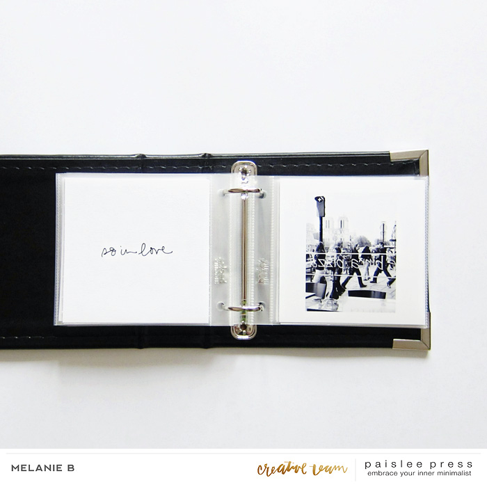 Paris mini-album V
