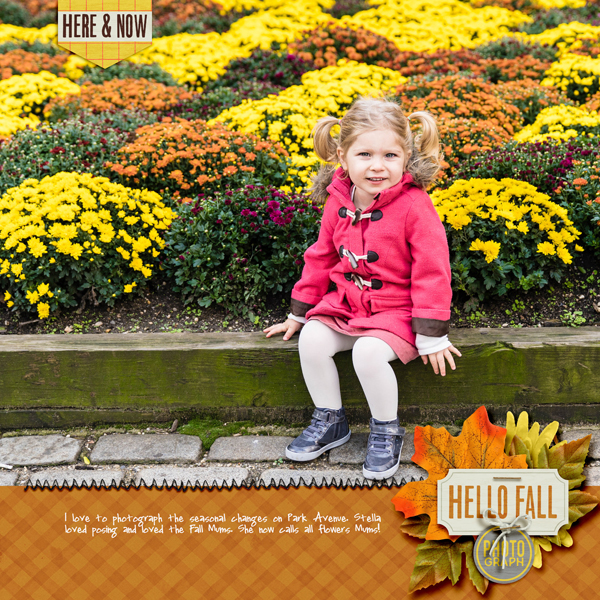 park-ave-mums