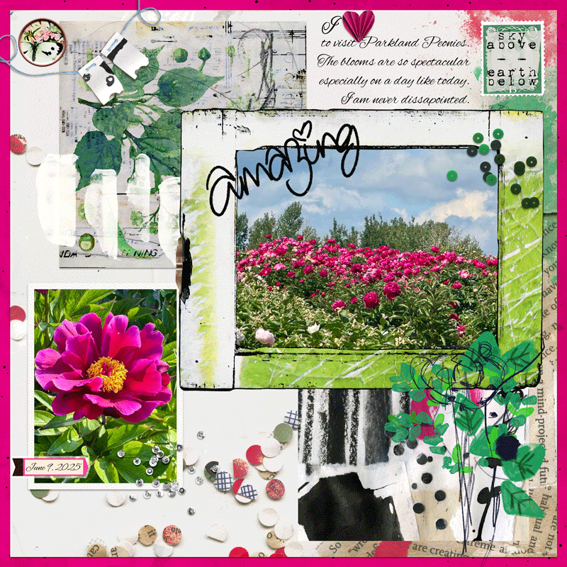 Parkland Peonies