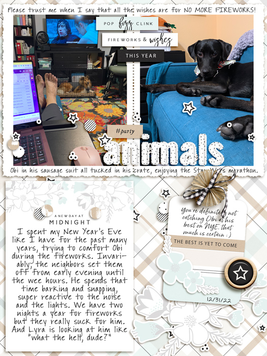 Party-Animals