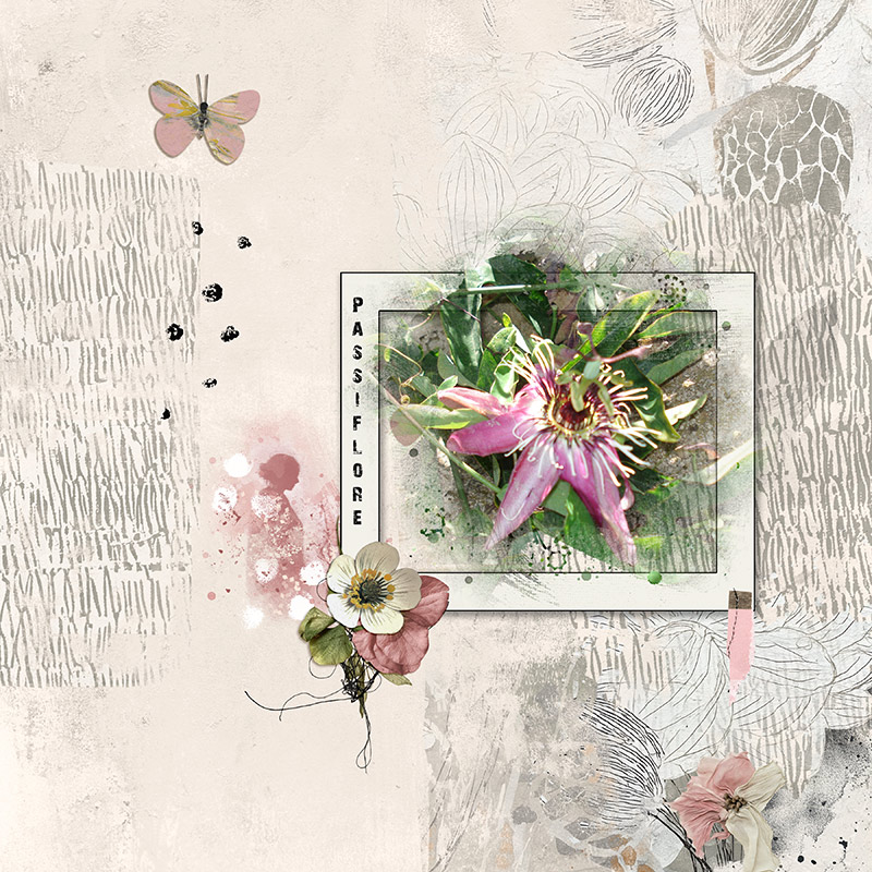 Passionflower