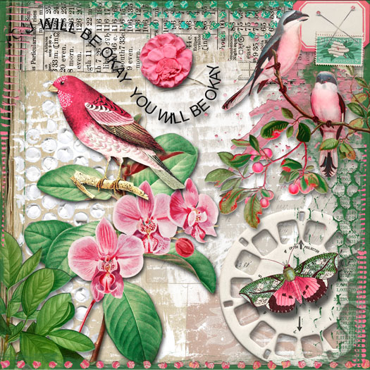 Paula Kesselring Black Friday Sales