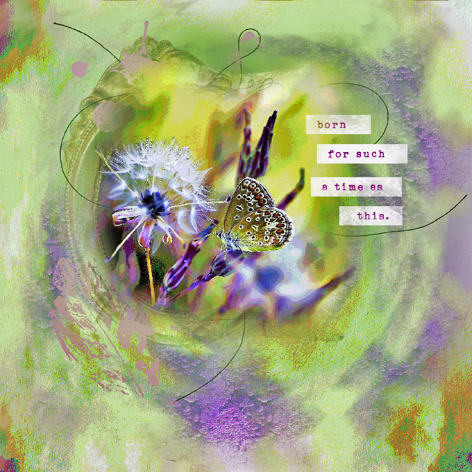 Paula Kesselring-Love Our Designers-February 17th-A Time Of Transformation