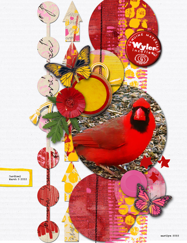 Paula-Kesselring_2022-03-March_New_0318_Mixed-Various_Cardinal_web